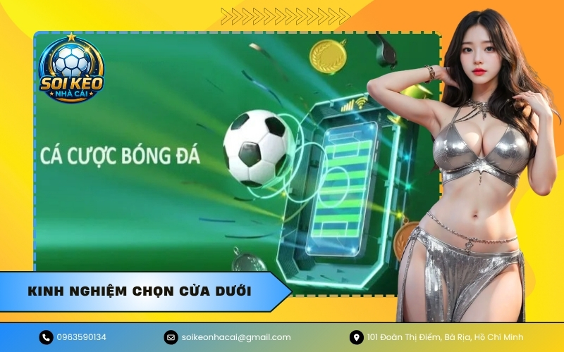 Kinh nghiệm chọn cửa dưới