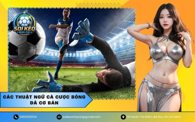 Các Thuật Ngữ Cá Cược Bóng Đá Cơ Bản