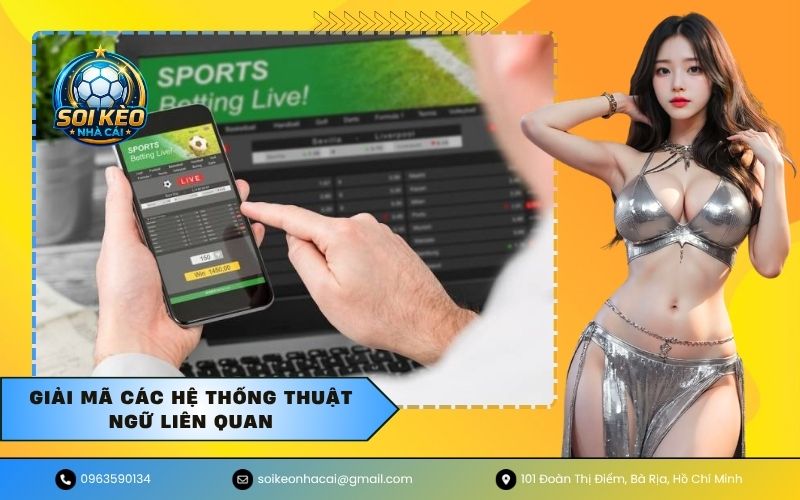 Giải mã các hệ thống thuật ngữ liên quan