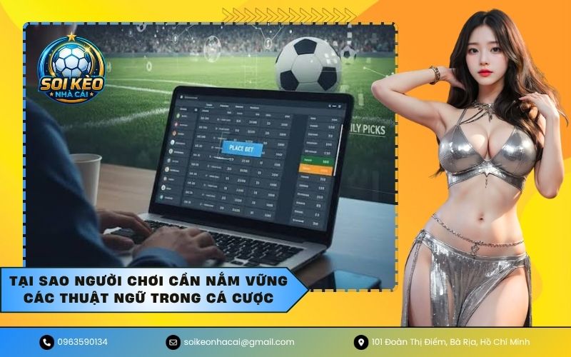 Tại sao người chơi cần nắm vững các thuật ngữ trong cá cược